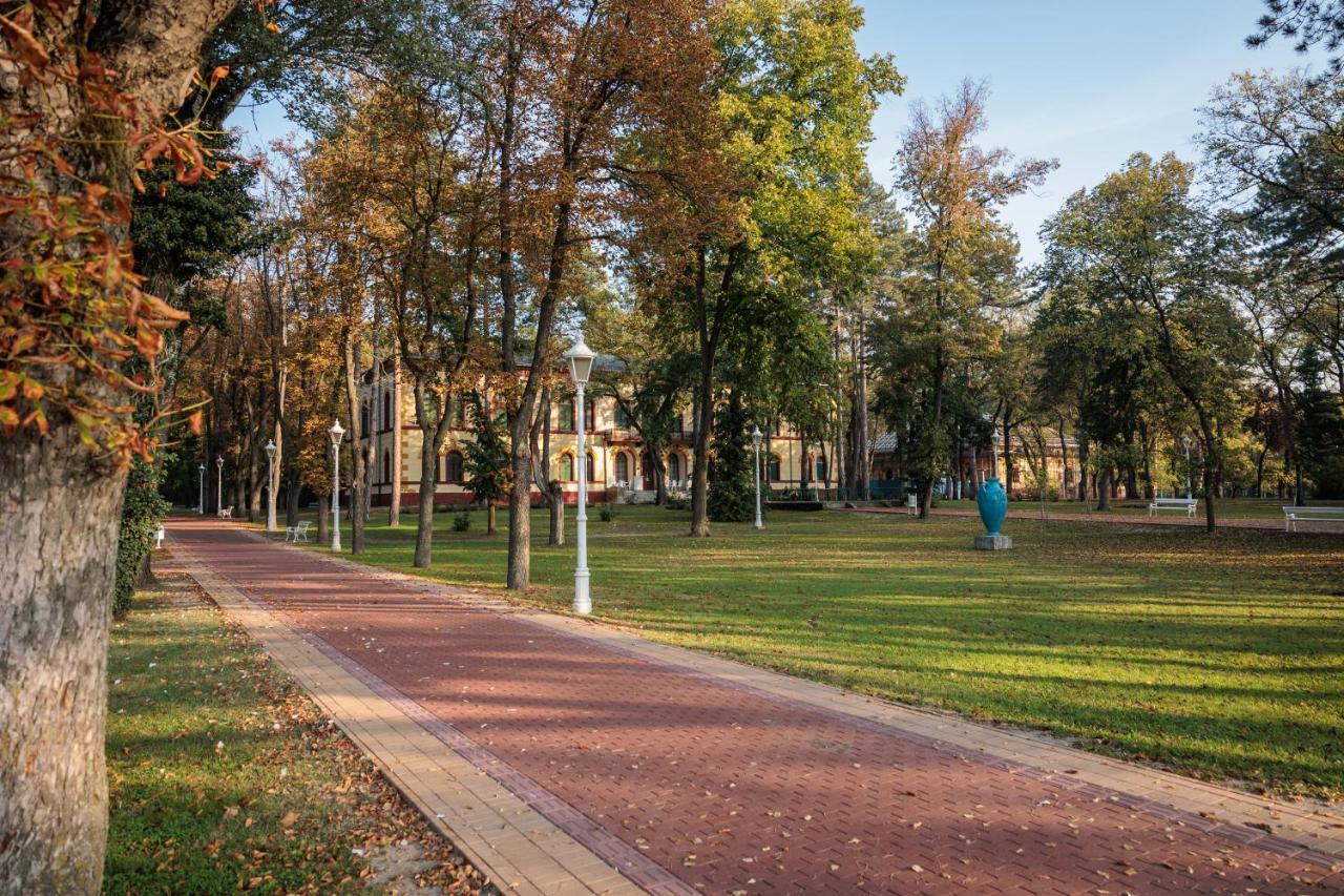 Soba 1 Lux Palic